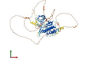 AlphaFold protein structure predicition of Mouse Recombinant Tesk2 Protein, UniprotID Q8VCT9