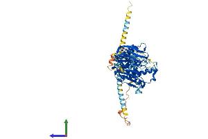 AlphaFold protein structure predicition of Mouse Recombinant Mgat4b Protein, UniprotID Q812F8
