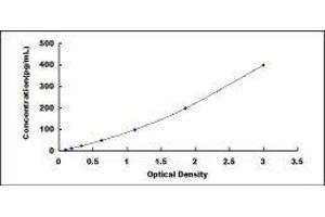 Angiopoietin-Like 2 (ANGPTL2) ELISA Kit
