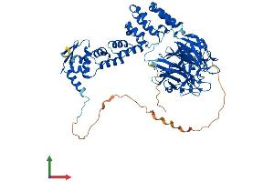 AlphaFold protein structure predicition of Mouse Recombinant Klhl17 Protein, UniprotID Q6TDP3