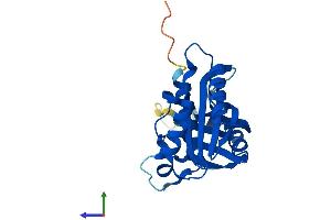 AlphaFold protein structure predicition of Human Recombinant MED20 Protein, UniprotID Q9H944