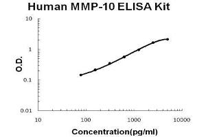 Human MMP-10 PicoKine ELISA Kit standard curve (MMP10 Kit ELISA)