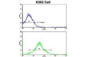 Flow Cytometry (FACS) image for anti-Matrix Metallopeptidase 19 (MMP19) antibody (ABIN3002548)