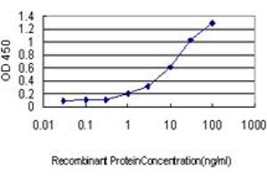 Detection limit for recombinant GST tagged CSE1L is approximately 0. (Exportin 2 anticorps  (AA 872-971))