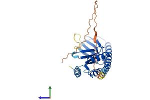 AlphaFold protein structure predicition of Mouse Recombinant Tyw3 Protein, UniprotID Q8BSA9