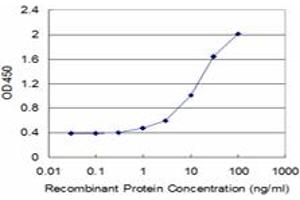 Detection limit for recombinant GST tagged ALAS2 is approximately 0. (ALAS2 anticorps  (AA 1-100))