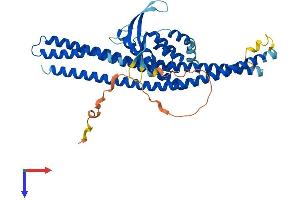AlphaFold protein structure predicition of Mouse Recombinant Snx4 Protein, UniprotID Q91YJ2