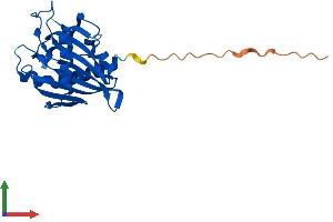 AlphaFold protein structure predicition of Mouse Recombinant Stard6 Protein, UniprotID P59096