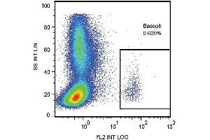 Surface staining of human peripheral blood cells with anti-CD107a (H4A3) PE.