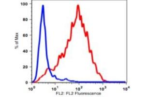 Image no. 2 for anti-Transferrin Receptor (p90, CD71) (TFRC) antibody (Biotin) (ABIN3071870)