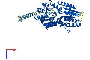 AlphaFold protein structure predicition of Human Recombinant ALG11 Protein, UniprotID Q2TAA5