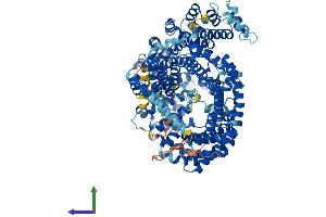AlphaFold protein structure predicition of Human Recombinant IPO7 Protein, UniprotID O95373