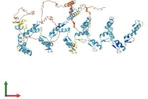 AlphaFold protein structure predicition of Human Recombinant ZNF814 Protein, UniprotID B7Z6K7
