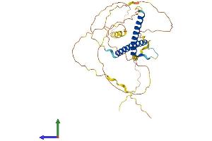 AlphaFold protein structure predicition of Human Recombinant OLIG2 Protein, UniprotID Q13516