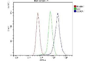 Flow Cytometry analysis of mouse spleen tissues using anti-COX8A antibody . (COX8A anticorps  (C-Term))