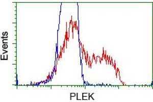 HEK293T cells transfected with either pCMV6-ENTRY PLEK (RC203780) (Red) or empty vector control plasmid (Blue) were immunostained with anti-PLEK mouse monoclonal (ABIN2453488), and then analyzed by flow cytometry. (Pleckstrin anticorps)