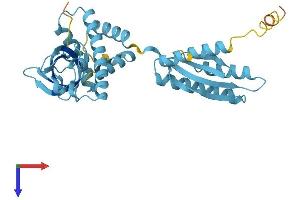 AlphaFold protein structure predicition of Mouse Recombinant Eif2s1 Protein, UniprotID Q6ZWX6