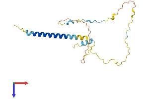 AlphaFold protein structure predicition of Mouse Recombinant Trat1 Protein, UniprotID Q3UU67