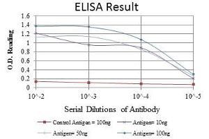 Red: Control Antigen (100 ng), Purple: Antigen (10 ng), Green: Antigen (50 ng), Blue: Antigen (100 ng),
