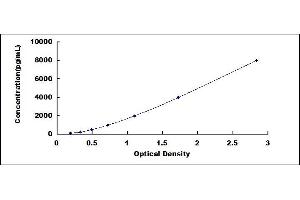 Typical standard curve (AMPD2 Kit ELISA)