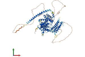 AlphaFold protein structure predicition of Human Recombinant GIT1 Protein, UniprotID Q9Y2X7