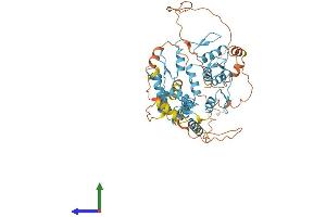 AlphaFold protein structure predicition of Human Recombinant ZNF449 Protein, UniprotID Q6P9G9