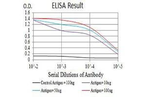 Black line: Control Antigen (100 ng),Purple line: Antigen (10 ng), Blue line: Antigen (50 ng), Red line:Antigen (100 ng) (CD40 Ligand anticorps  (AA 47-261))