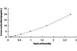 Lysophosphatidylcholine Acyltransferase 2 (LPCAT2) ELISA Kit