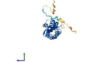 AlphaFold protein structure predicition of Mouse Recombinant Kctd1 Protein, UniprotID Q5M956