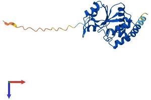 AlphaFold protein structure predicition of Mouse Recombinant Cdkn3 Protein, UniprotID Q810P3