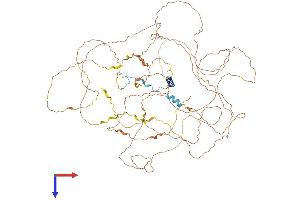POM121 Transmembrane Nucleoporin B (POM121B) (AA 1-834) protein (His tag)