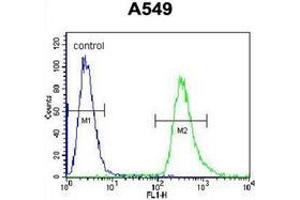 Flow cytometric analysis of A549 cells using Endoplasmin / HSP90B1 / TRA1 Antibody (Center) Cat.