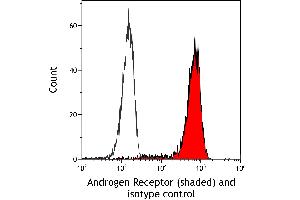 Flow Cytometry (FACS) image for anti-Androgen Receptor (AR) (AA 1-50) antibody (ABIN7795784)