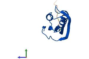 AlphaFold protein structure predicition of Mouse Recombinant Acyp2 Protein, UniprotID P56375