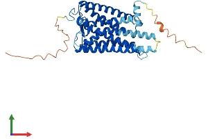 AlphaFold protein structure predicition of Mouse Recombinant Opn1mw Protein, UniprotID O35599