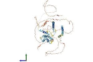 AlphaFold protein structure predicition of Mouse Recombinant Pbxip1 Protein, UniprotID Q3TVI8