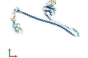 AlphaFold protein structure predicition of Human Recombinant TRIM34 Protein, UniprotID Q9BYJ4