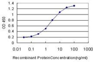 Detection limit for recombinant GST tagged RUNX2 is approximately 0. (RUNX2 anticorps  (AA 251-350))