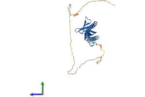 AlphaFold protein structure predicition of Mouse Recombinant Plekha3 Protein, UniprotID Q9ERS4