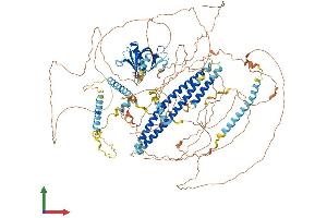 AlphaFold protein structure predicition of Mouse Recombinant Plekha6 Protein, UniprotID Q7TQG1