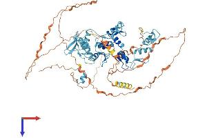 AlphaFold protein structure predicition of Human Recombinant ZNF710 Protein, UniprotID Q8N1W2