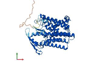 AlphaFold protein structure predicition of Mouse Recombinant Dhcr7 Protein, UniprotID O88455