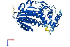 AlphaFold protein structure predicition of Mouse Recombinant Hsd3b7 Protein, UniprotID Q9EQC1