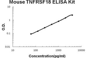 Mouse TNFRSF18/GITR Accusignal ELISA Kit Mouse TNFRSF18/GITR AccuSignal ELISA Kit standard curve. (TNFRSF18 Kit ELISA)