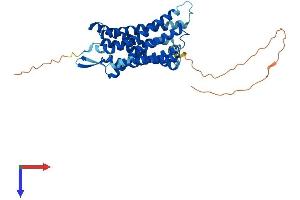 AlphaFold protein structure predicition of Mouse Recombinant Lpar5 Protein, UniprotID Q149R9