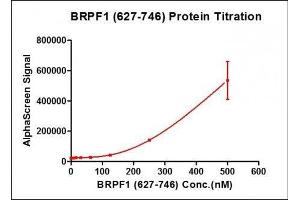 Recombinant BRPF1 (627-746) activity using AlphaScreen. (BRPF1 Protein (AA 627-746) (His tag,DYKDDDDK Tag))