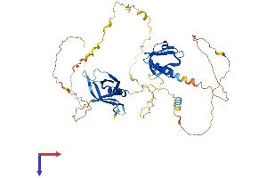 AlphaFold protein structure predicition of Mouse Recombinant Dok1 Protein, UniprotID P97465