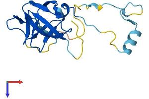 AlphaFold protein structure predicition of Human Recombinant ERVK-21 Protein, UniprotID P63119