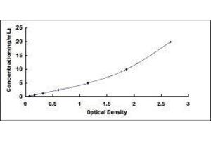 SPARC-Like 1 (Hevin) (SPARCL1) ELISA Kit