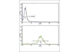 Flow Cytometry (FACS) image for anti-Natriuretic Peptide A (NPPA) antibody (ABIN2917623)